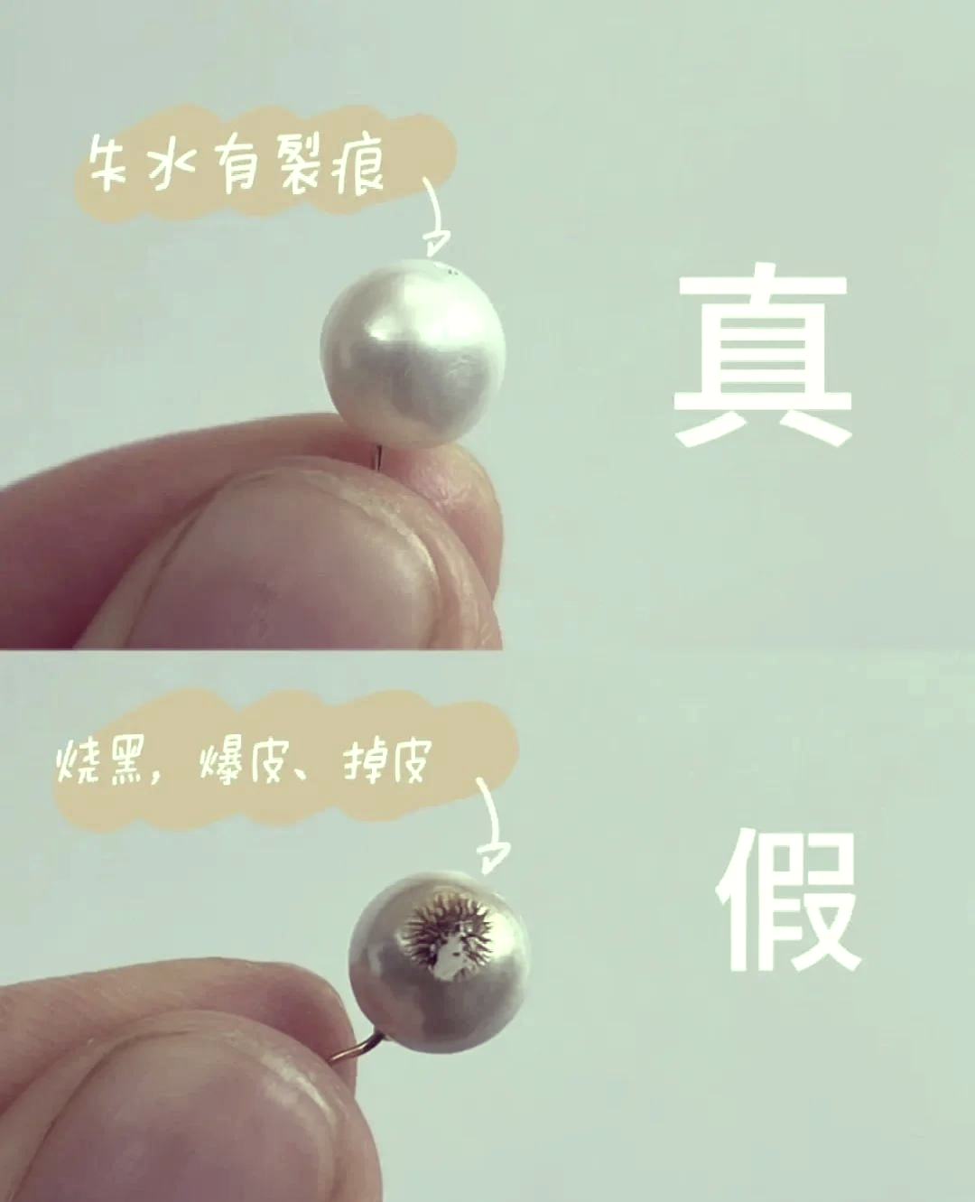 十种假珍珠的图片