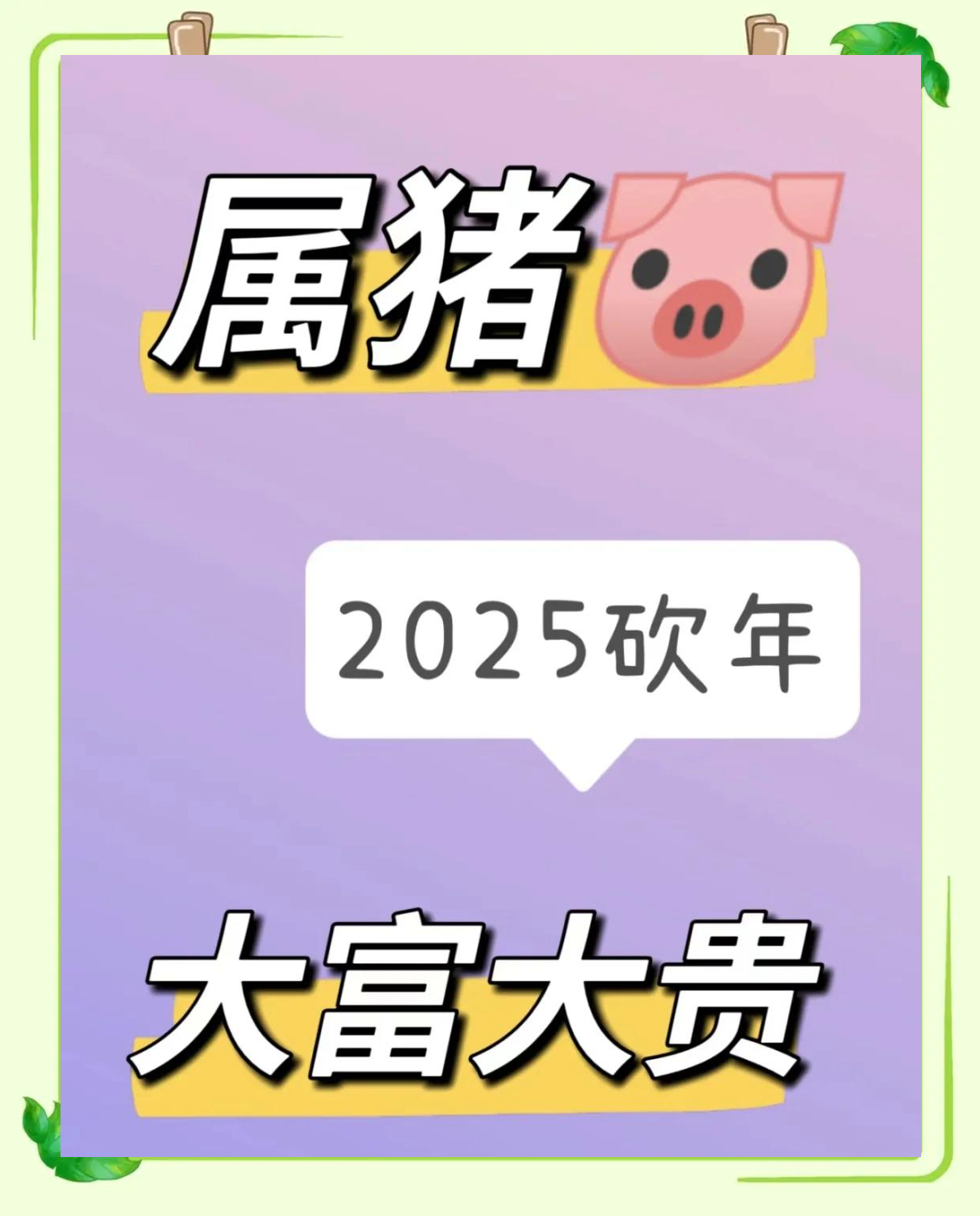 猪年生肖运势2025年(猪2025年运势完整版)