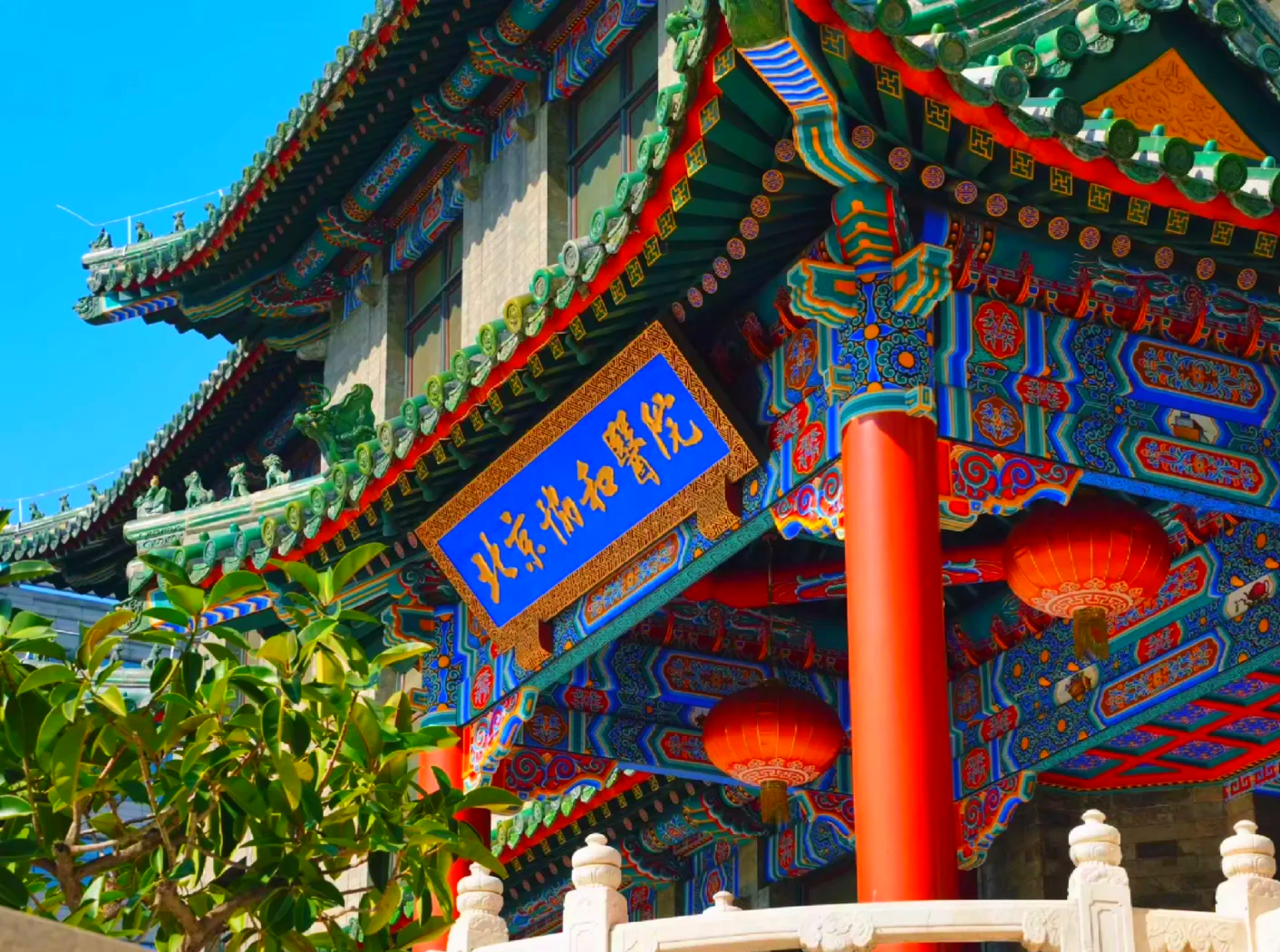 北京协和医院、代挂预约专家号,使您省去诸多麻烦重大新闻的简单介绍