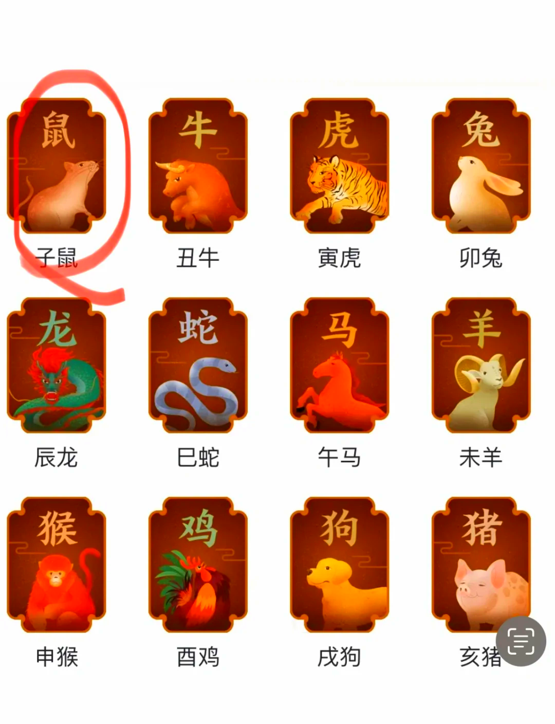 鼠年生肖虎们运势怎样(鼠年生肖虎的运程)