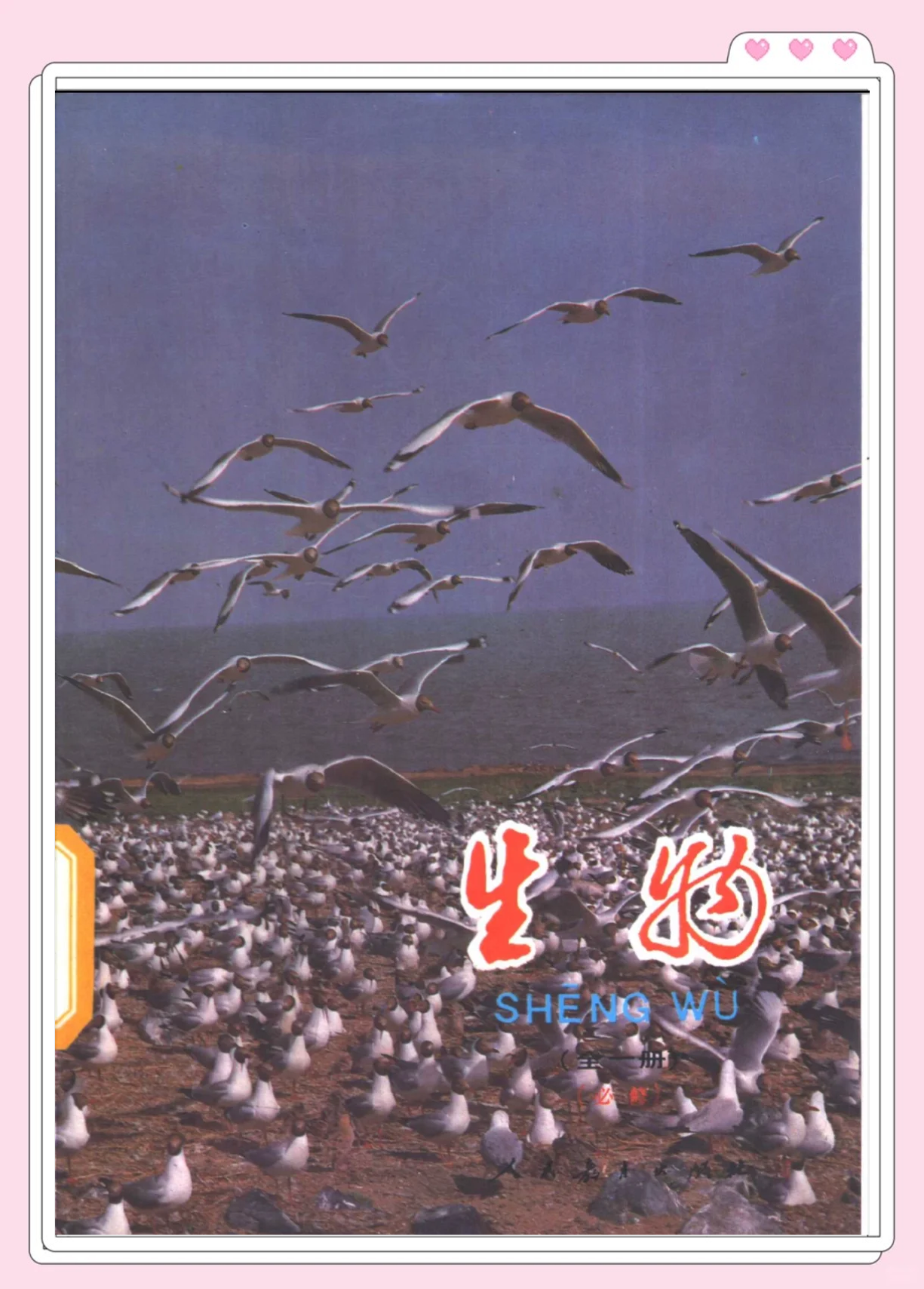 高中生物老师教材
第2张 高中生物老师教材
第2张