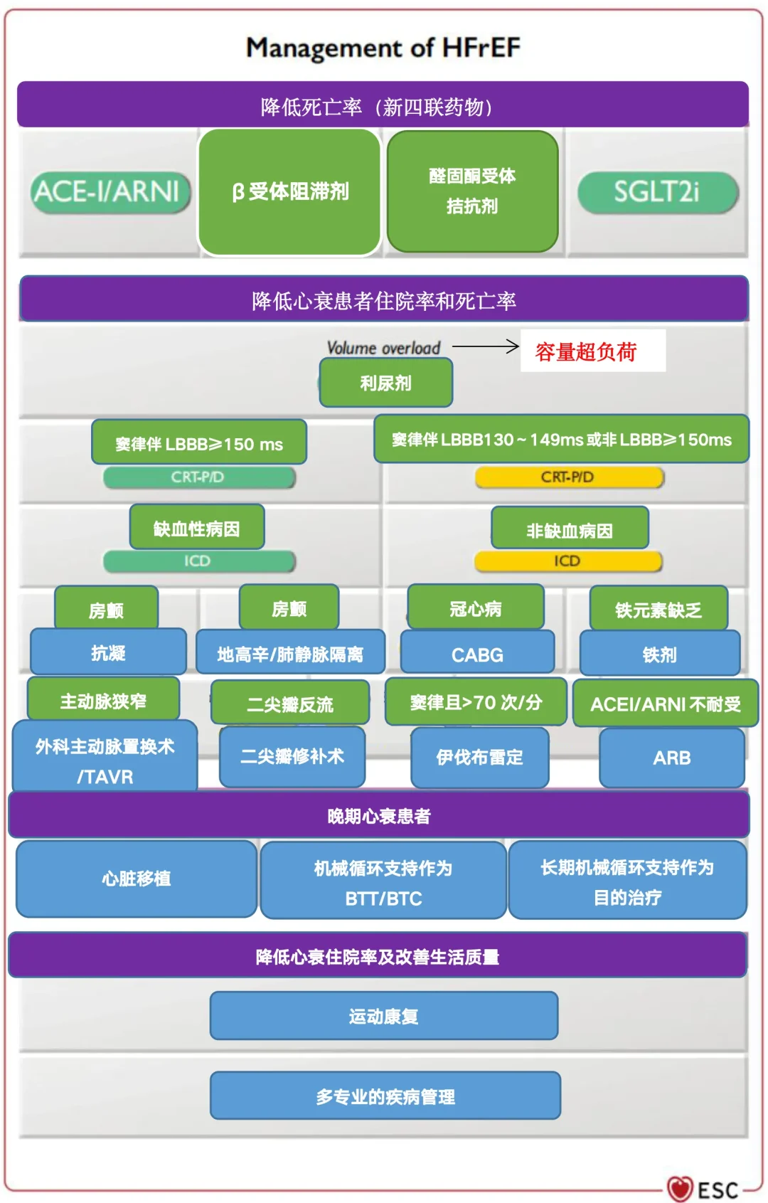 医院特殊治疗理论