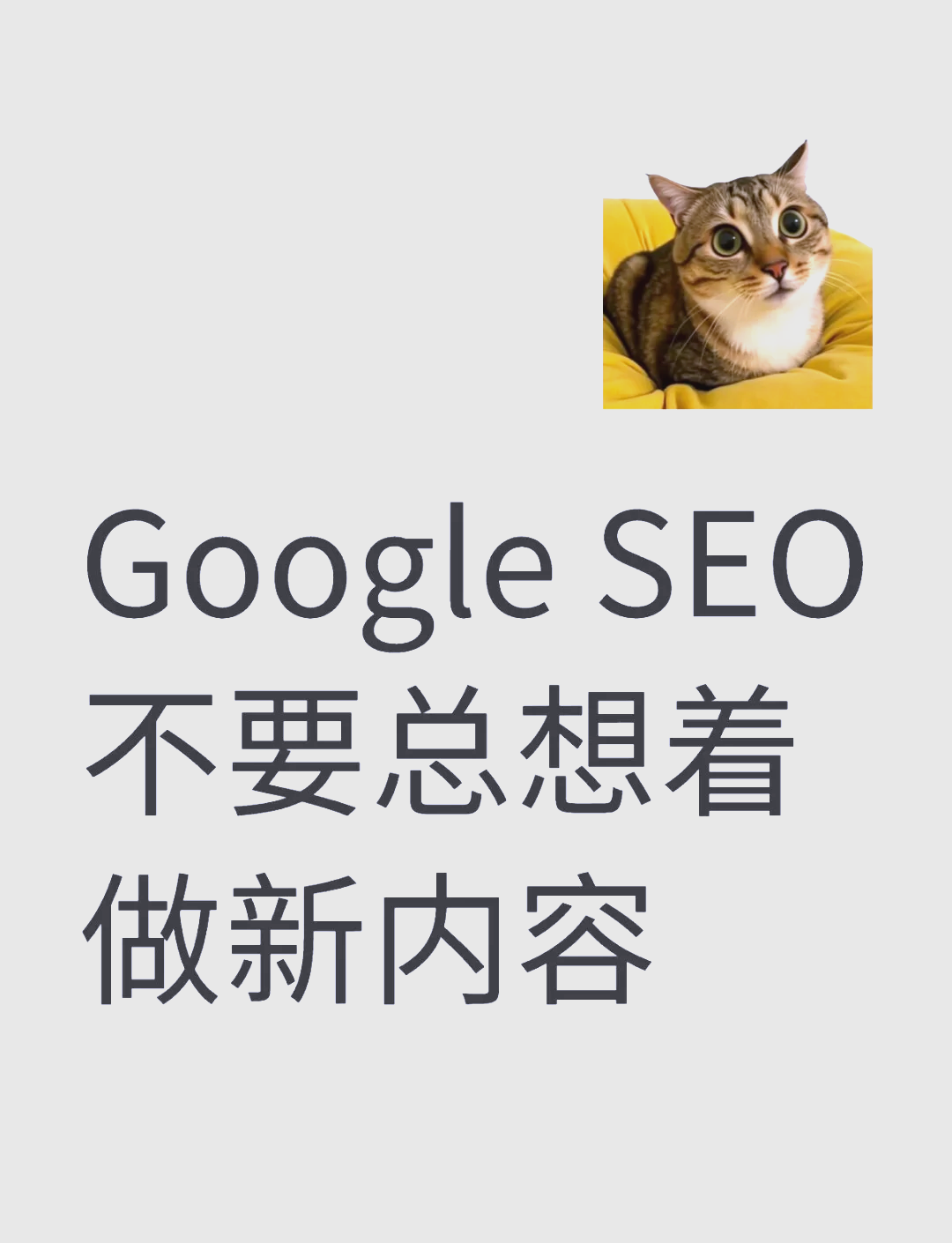 谷歌上不去，谷歌外网怎么进