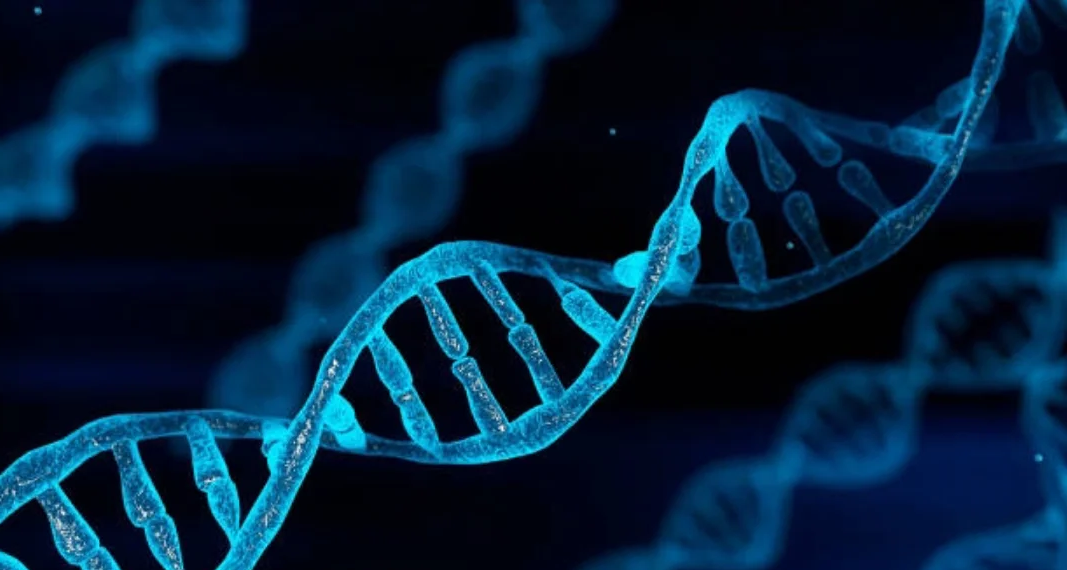 在站大街和小胡同的褶皱里,打捞老咸阳的烟火DNA