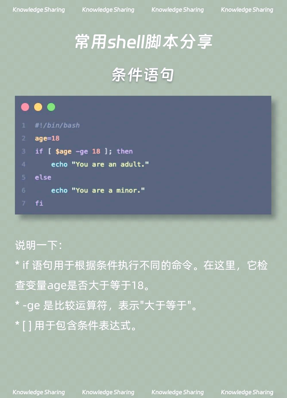 shell+if+或条件