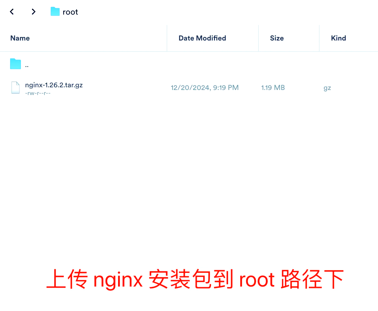 linux安装nginx详细教程