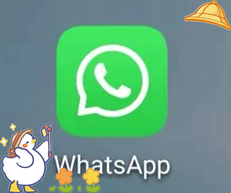 whatsapp是什么软件=whats app 官网下载