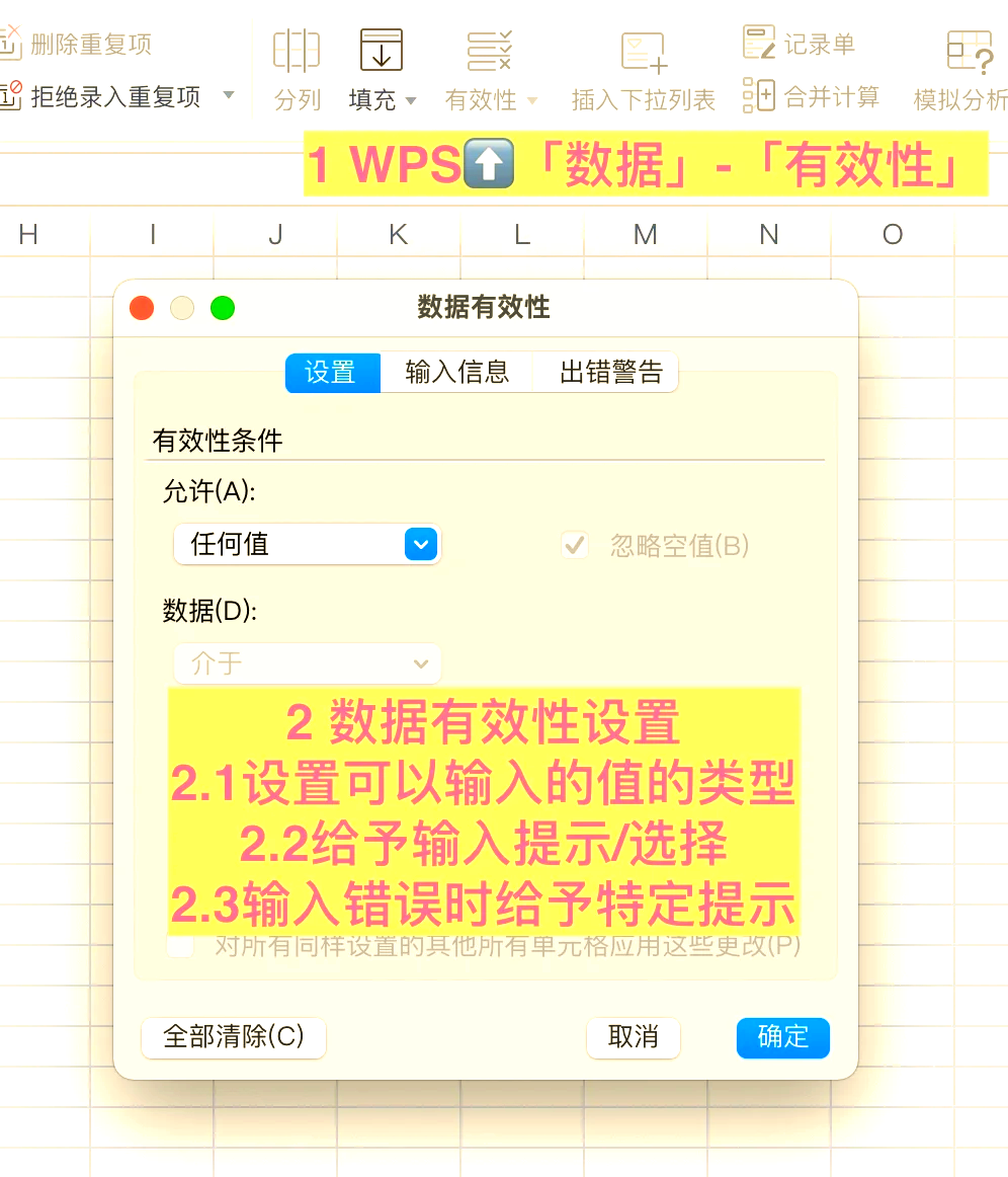 wps字符型数据在哪里