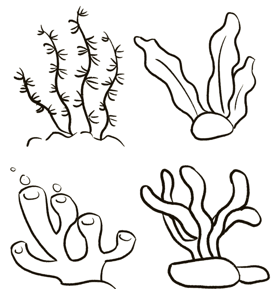 98海洋植物简笔画大赏96 95探索海洋的奥秘