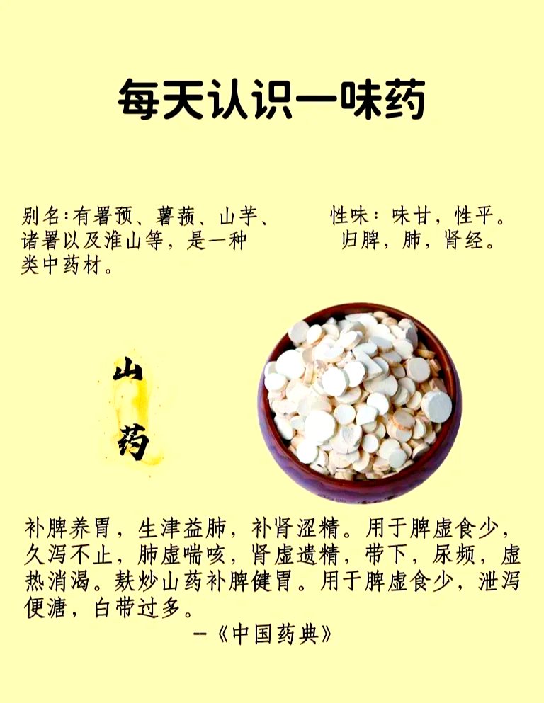 长山药的作用与功效图片