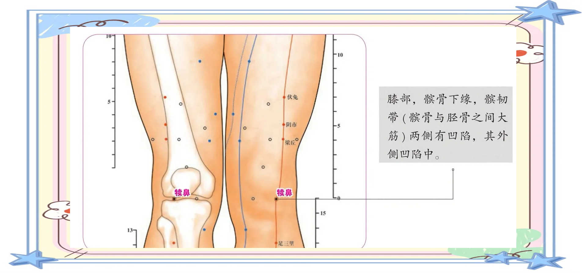 犊鼻穴揭秘:治膝奇穴