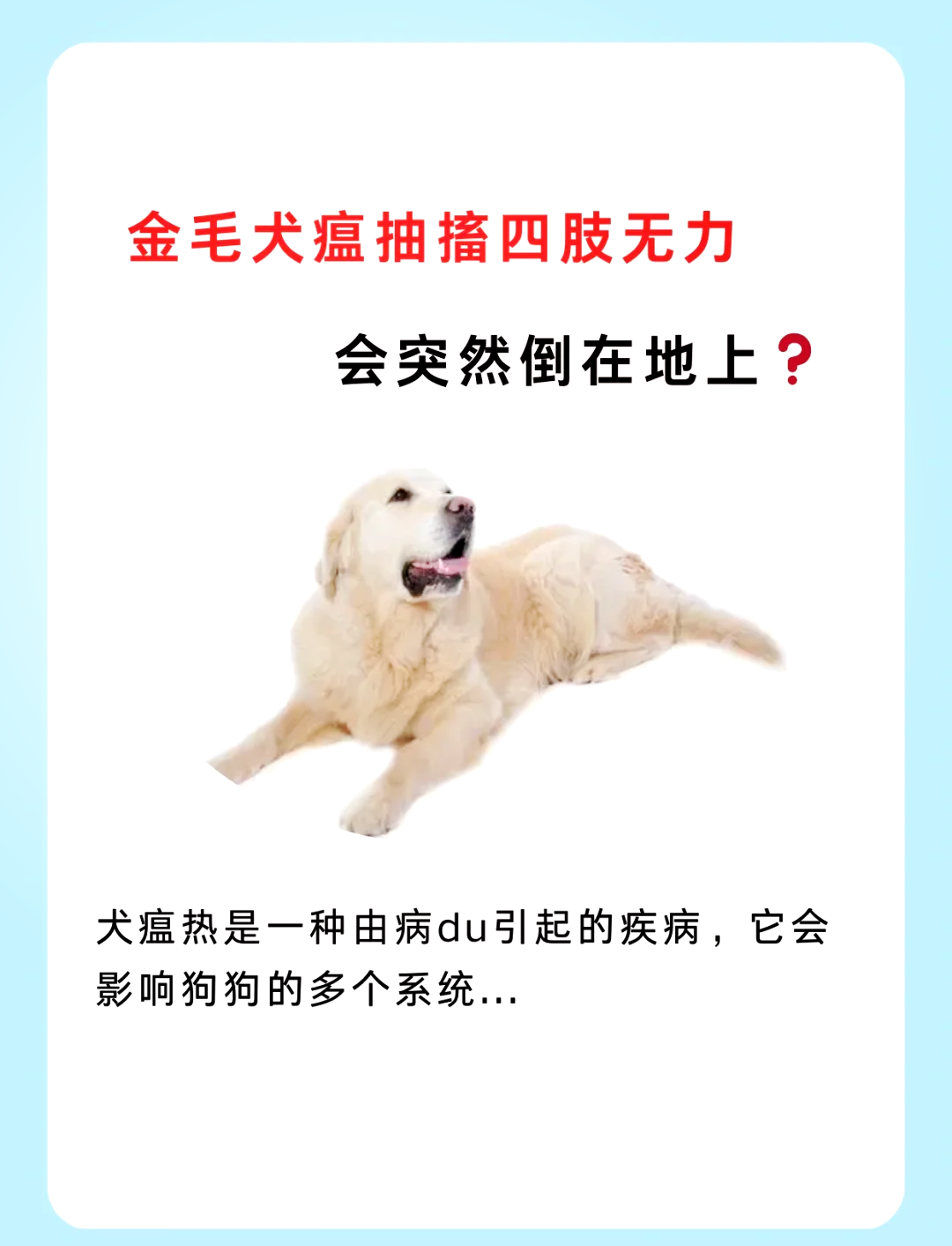 犬瘟的前期症状是什么图片