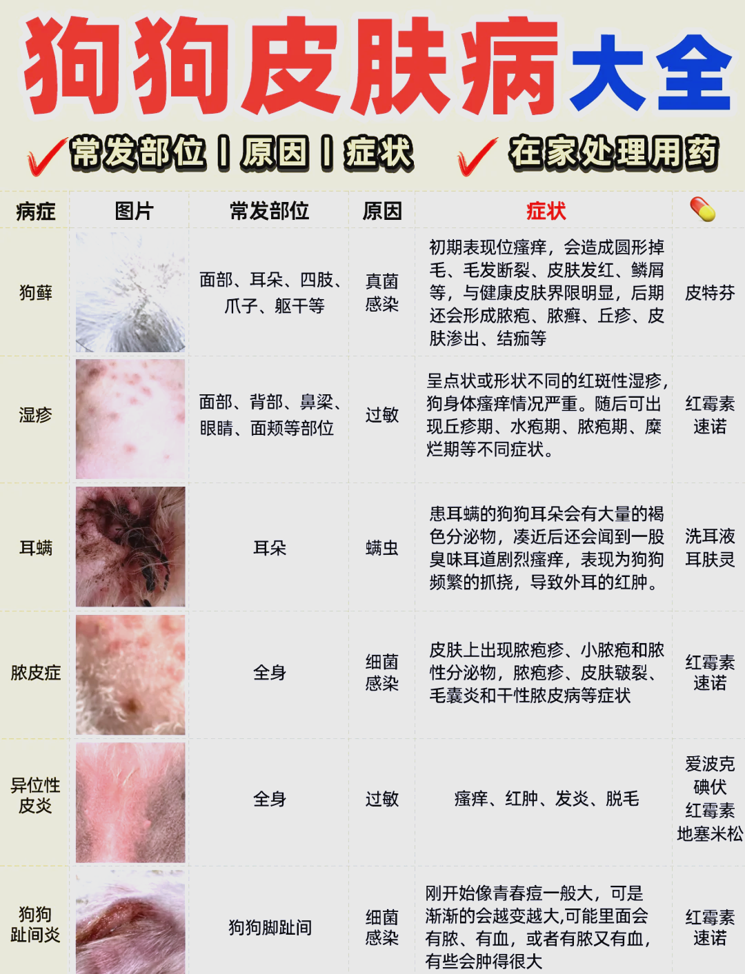 狗狗皮肤病在家处理指南 快速缓解症状