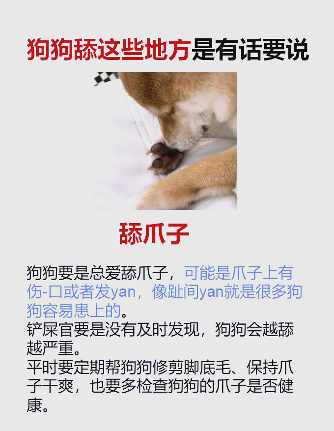 狗狗突然疯狂舔主人图片