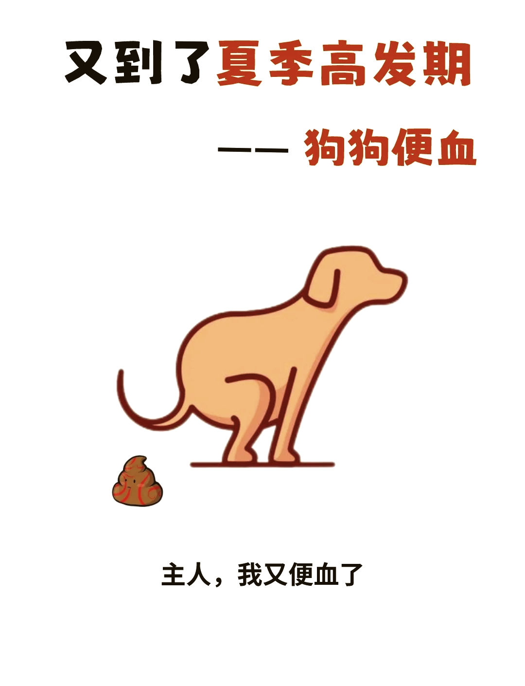 狗狗果冻状便血图片