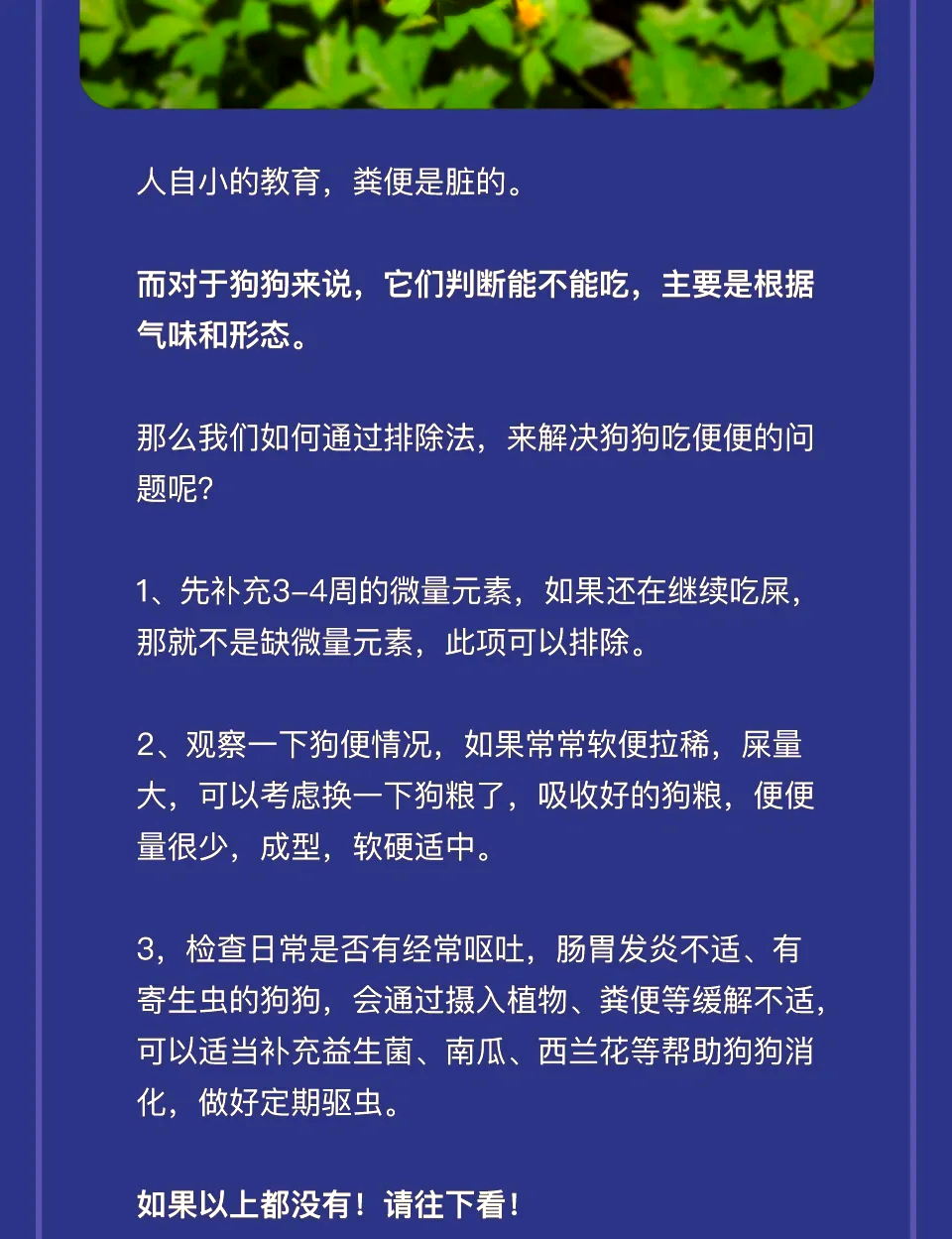 狗狗爱吃屎?原因和解决方法都在这里!