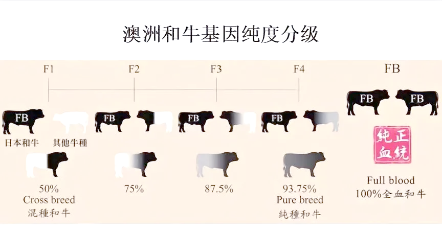 日牛的方法 步骤图片