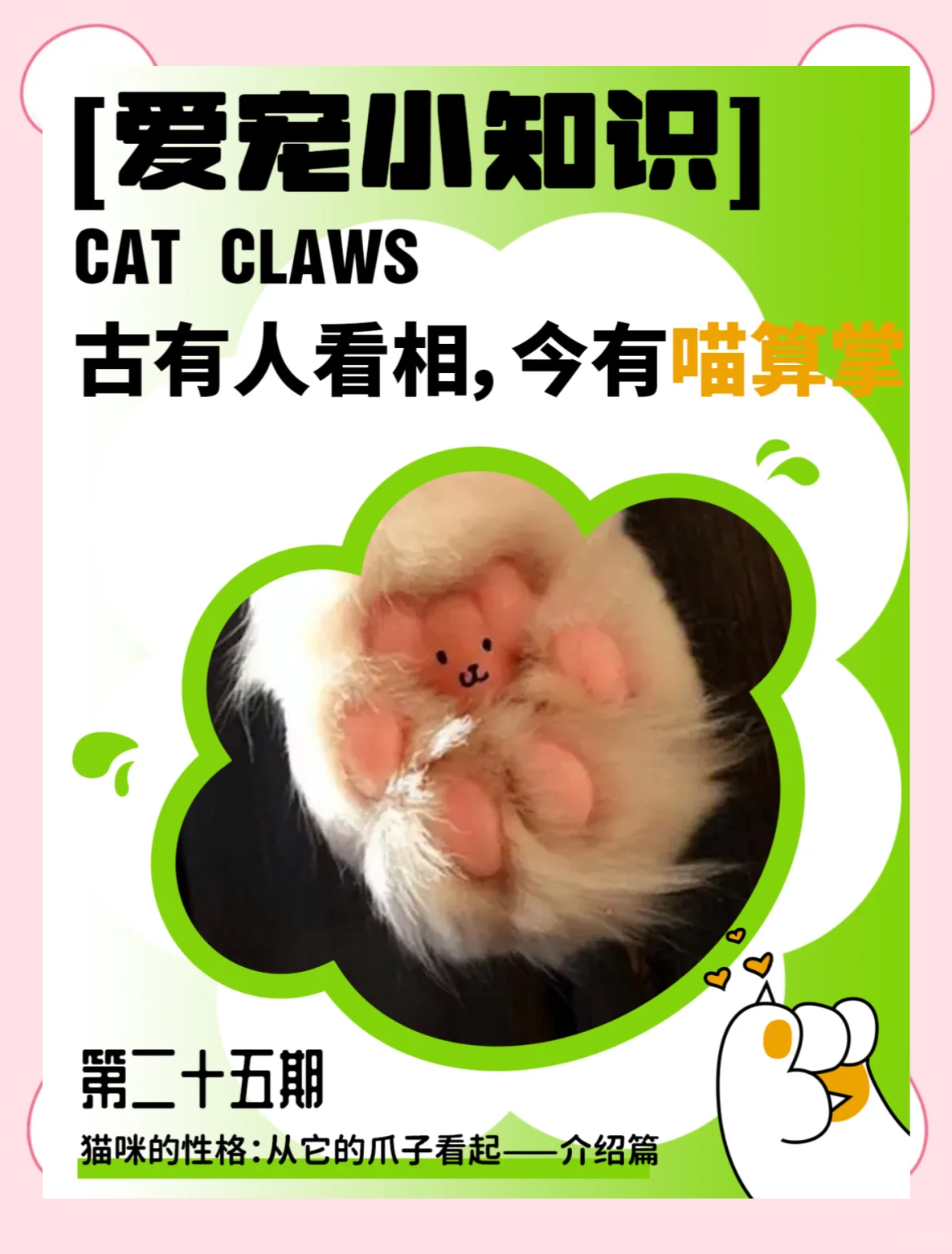 猫咪爪子性格图片