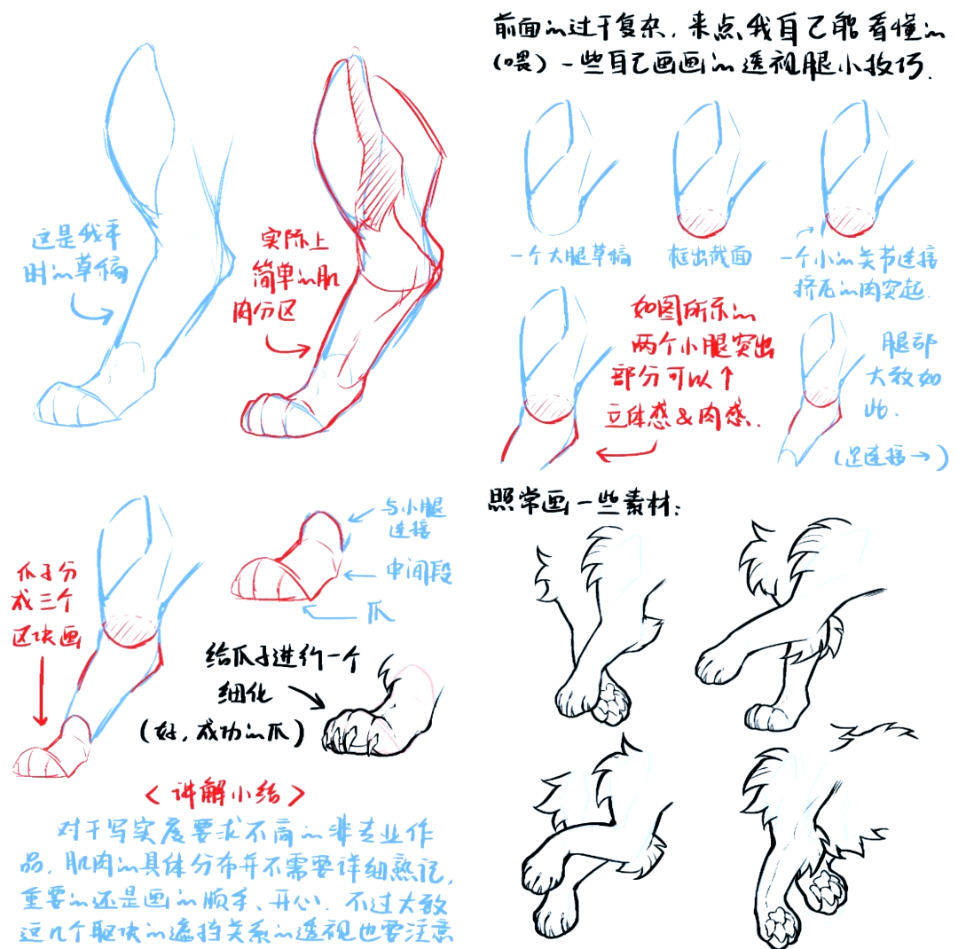 鸟爪的画法图片