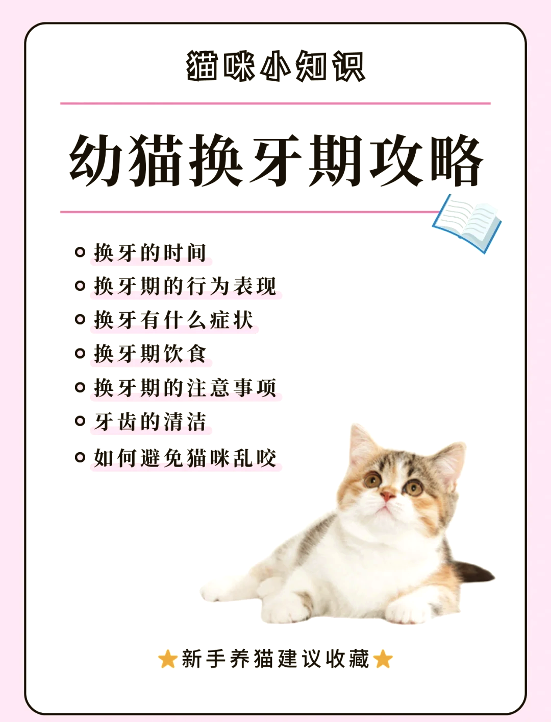 猫咪换牙顺序图片图片