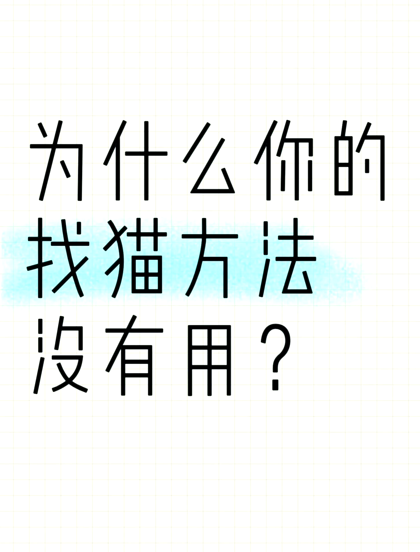 猫咪丢了?这些方法帮你找回它!