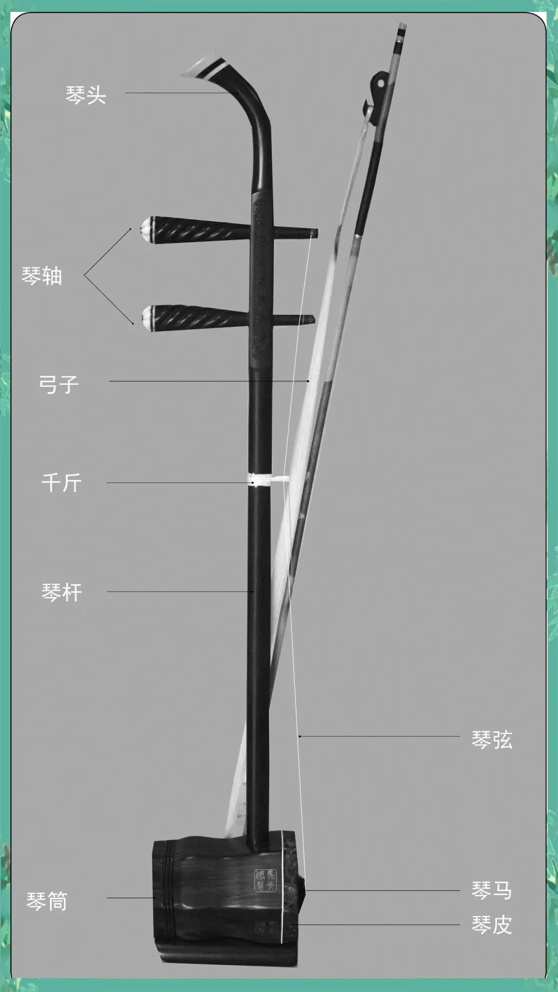 二胡内外弦图解图片