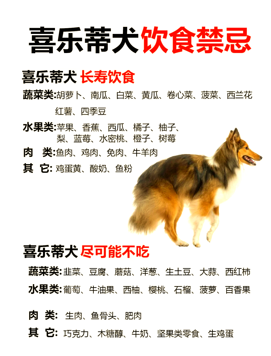 伯恩山犬中国禁养吗图片