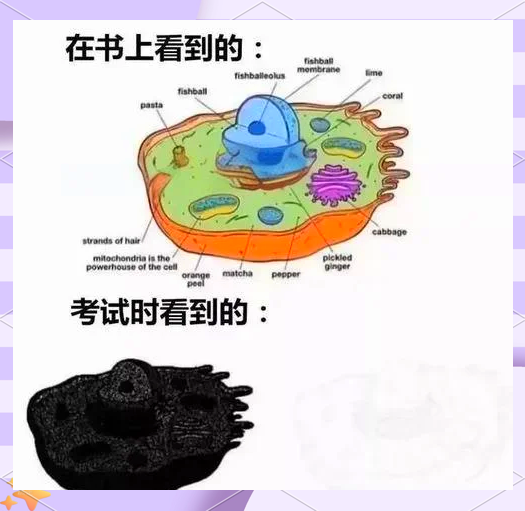 生物遗传表情包图片