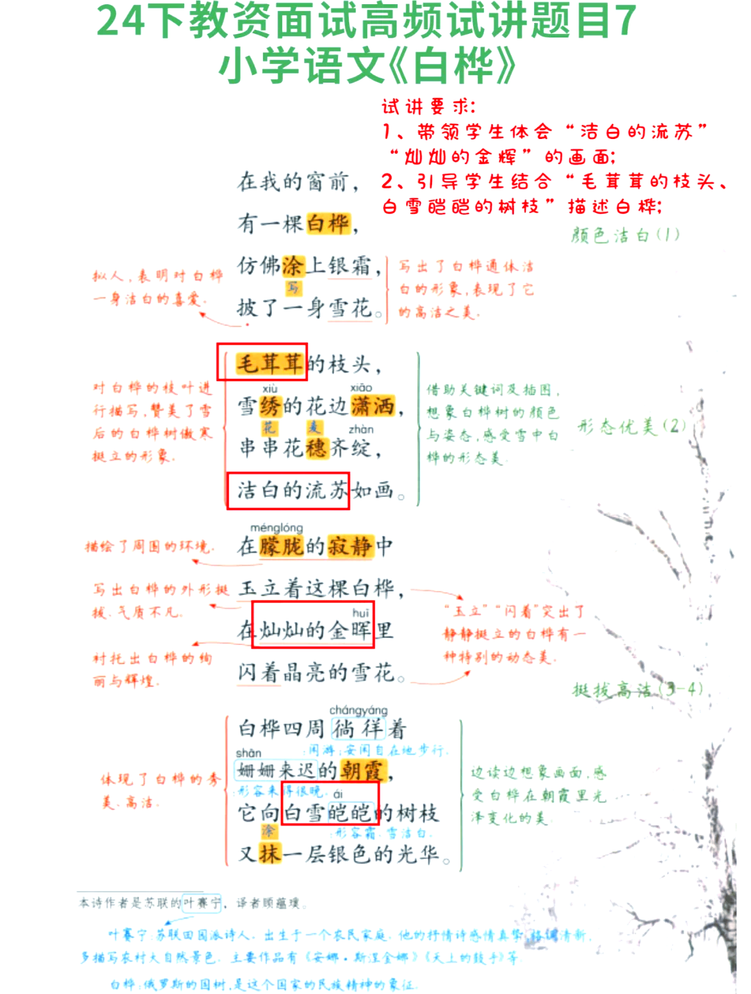 白桦课文 抄写图片