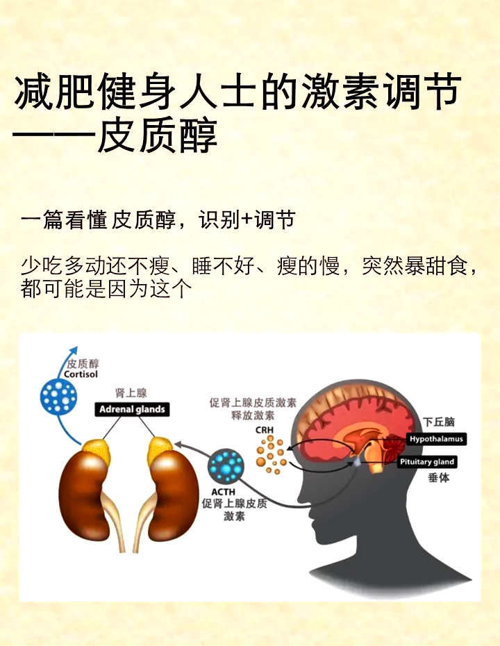 皮质醇高的症状图片图片