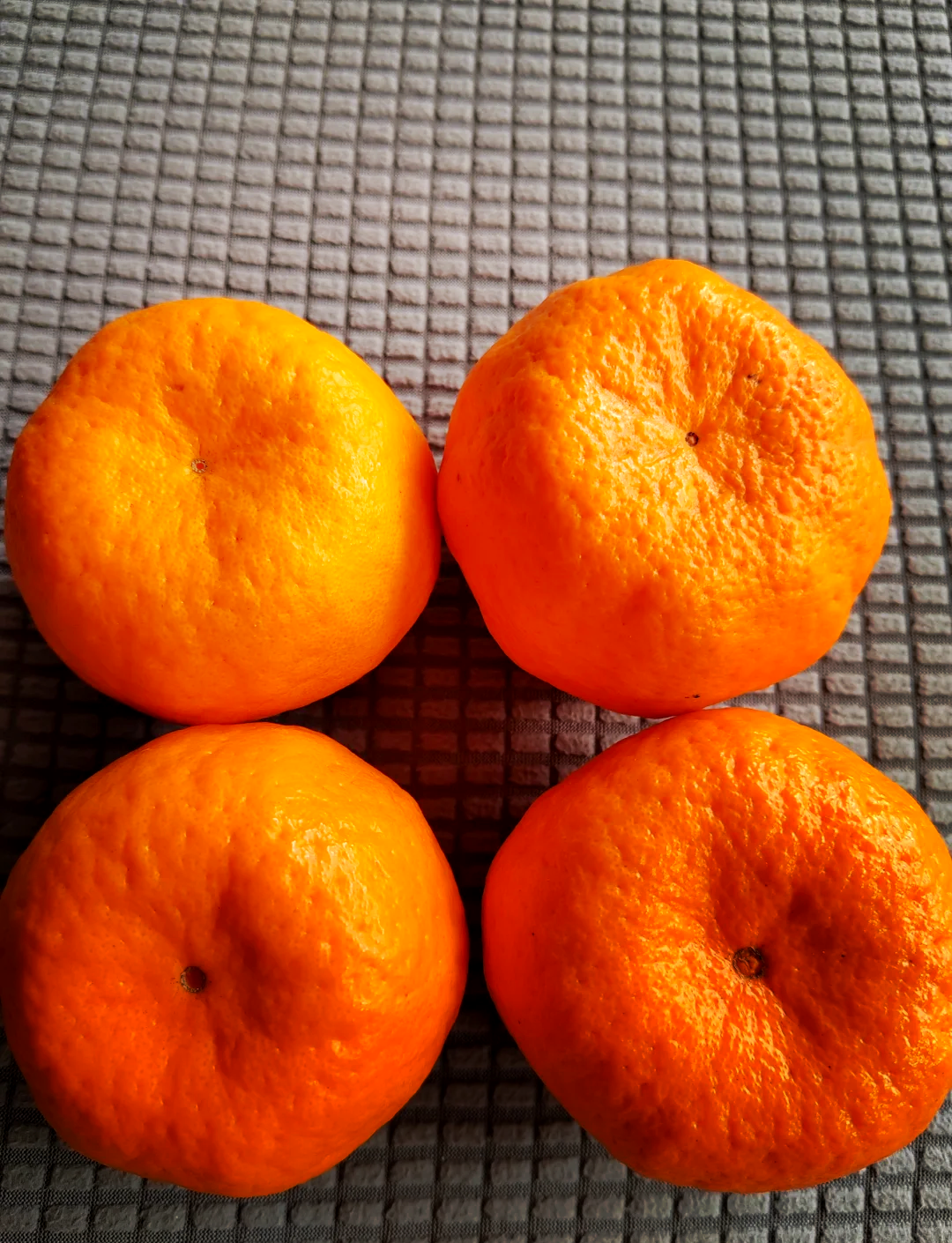 🍊美味椪柑