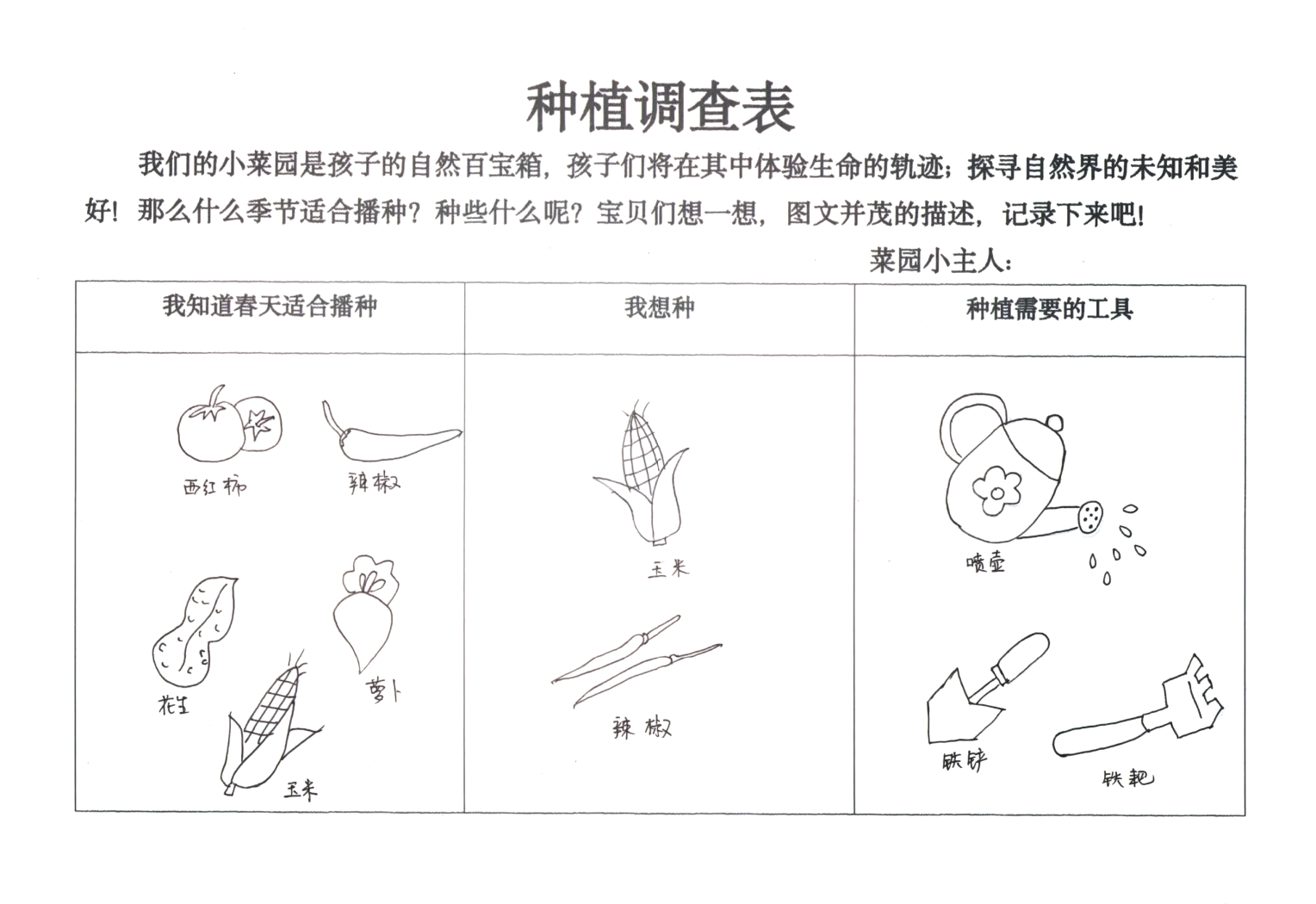 幼儿园植物种植调查表图片