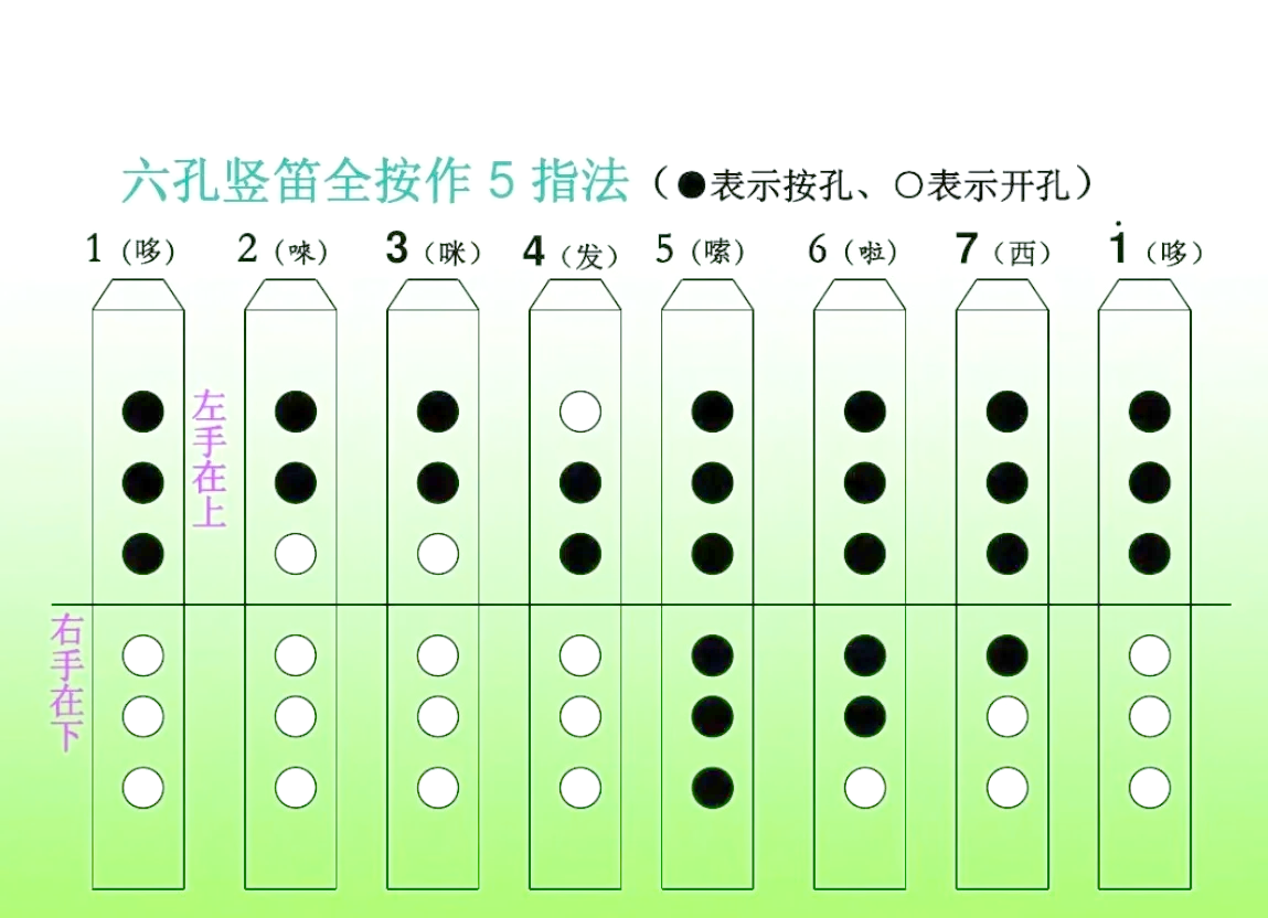 7孔竖笛入门基础教程图片