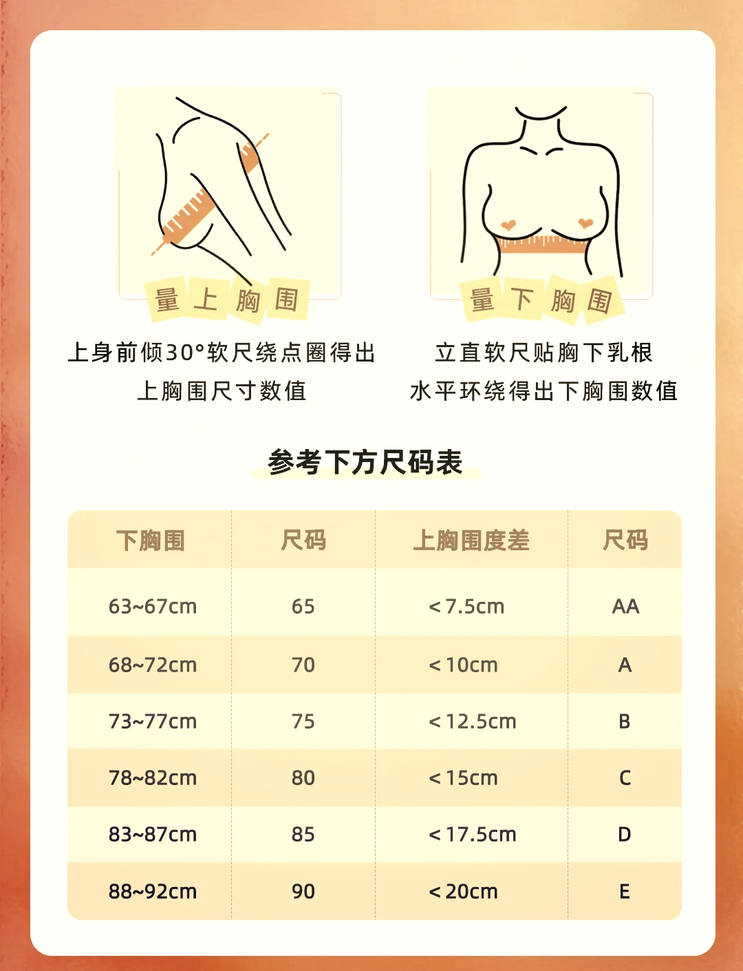 胸围和罩杯对应图片