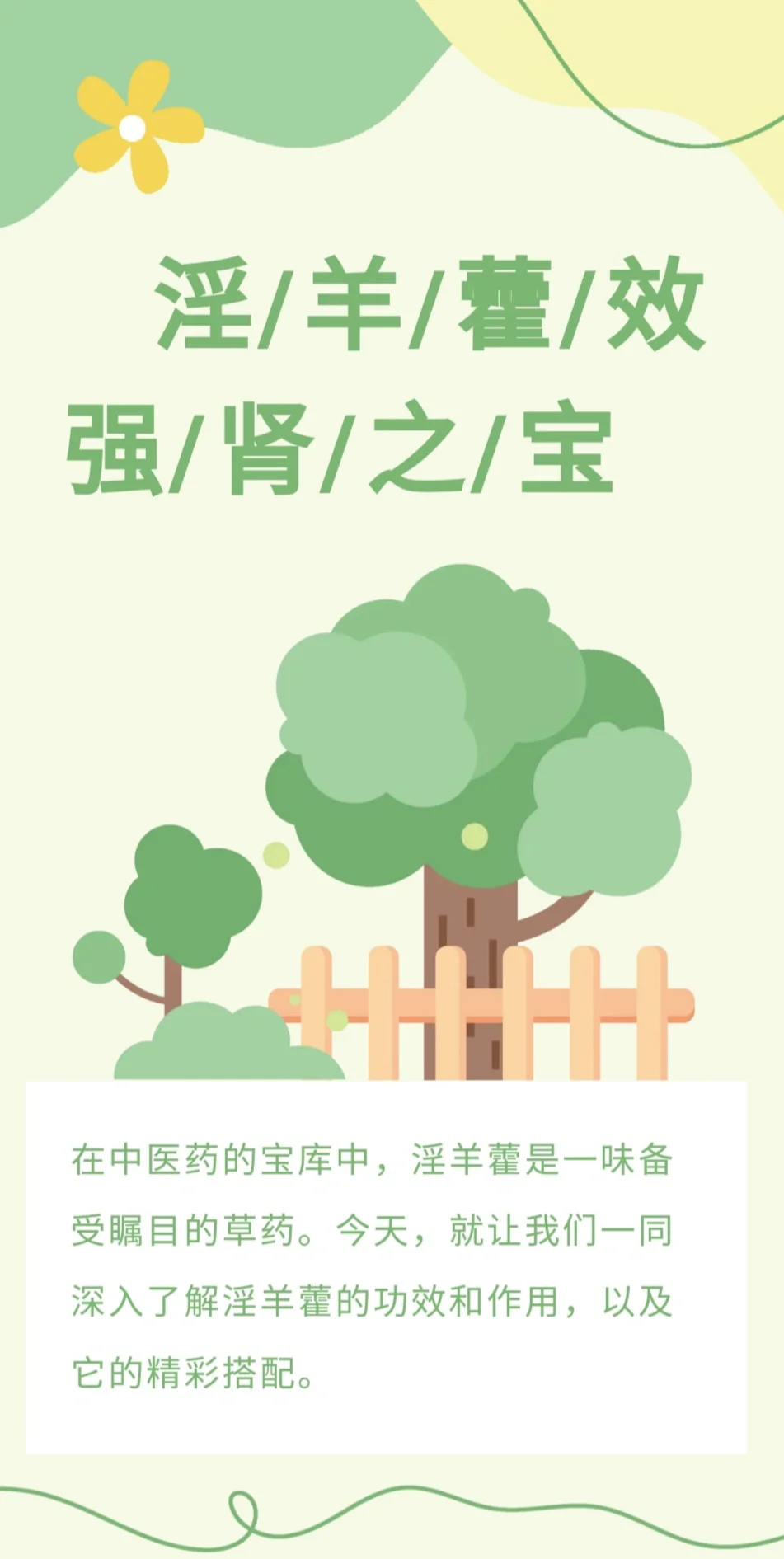 淫羊藿:补肾壮阳的神奇草药