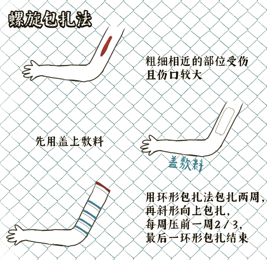 绑包的丝带方法图解图片