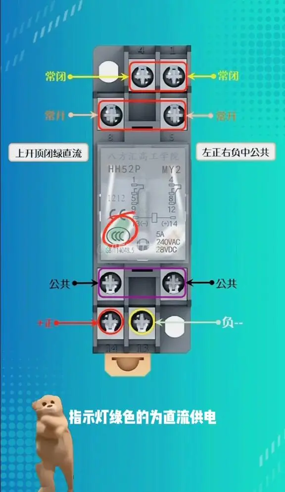 中间继电器接线方法图片