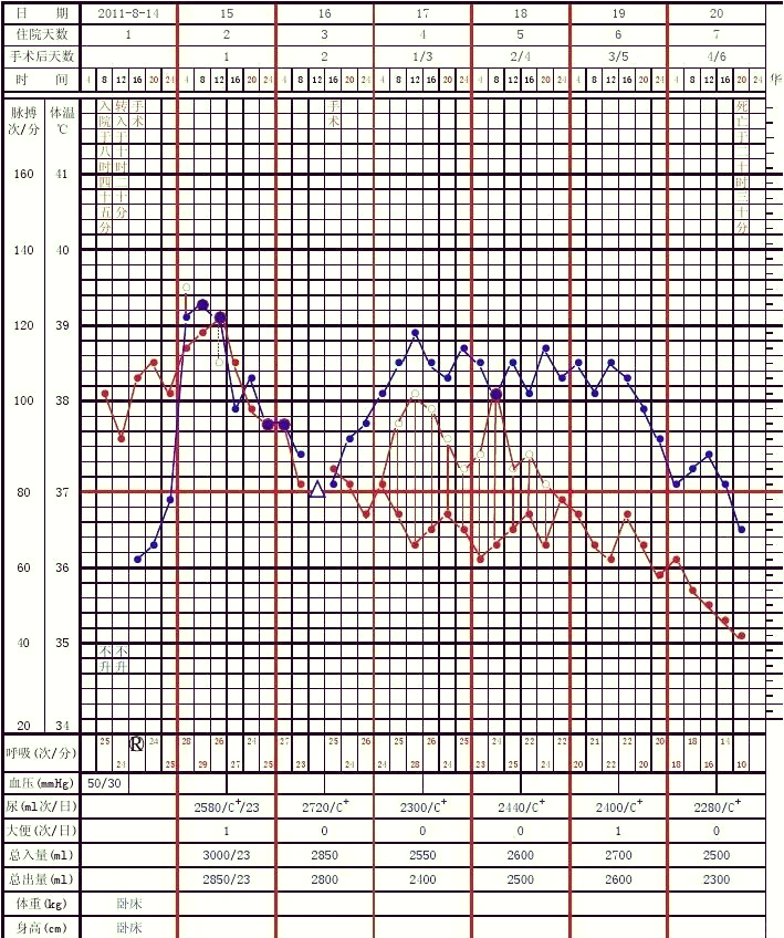 体温单绘制图解图片