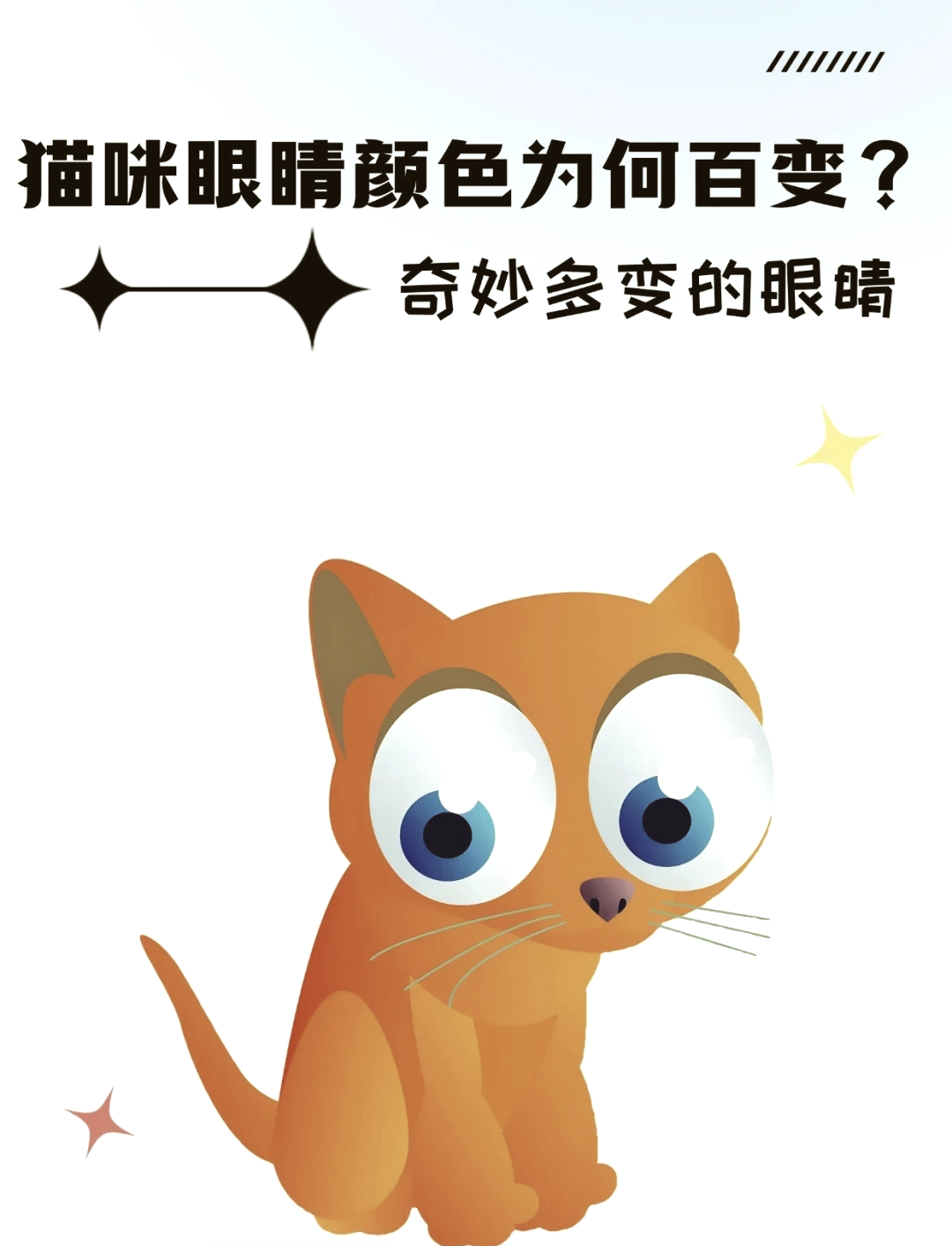 小猫眼睛颜色多大确定图片