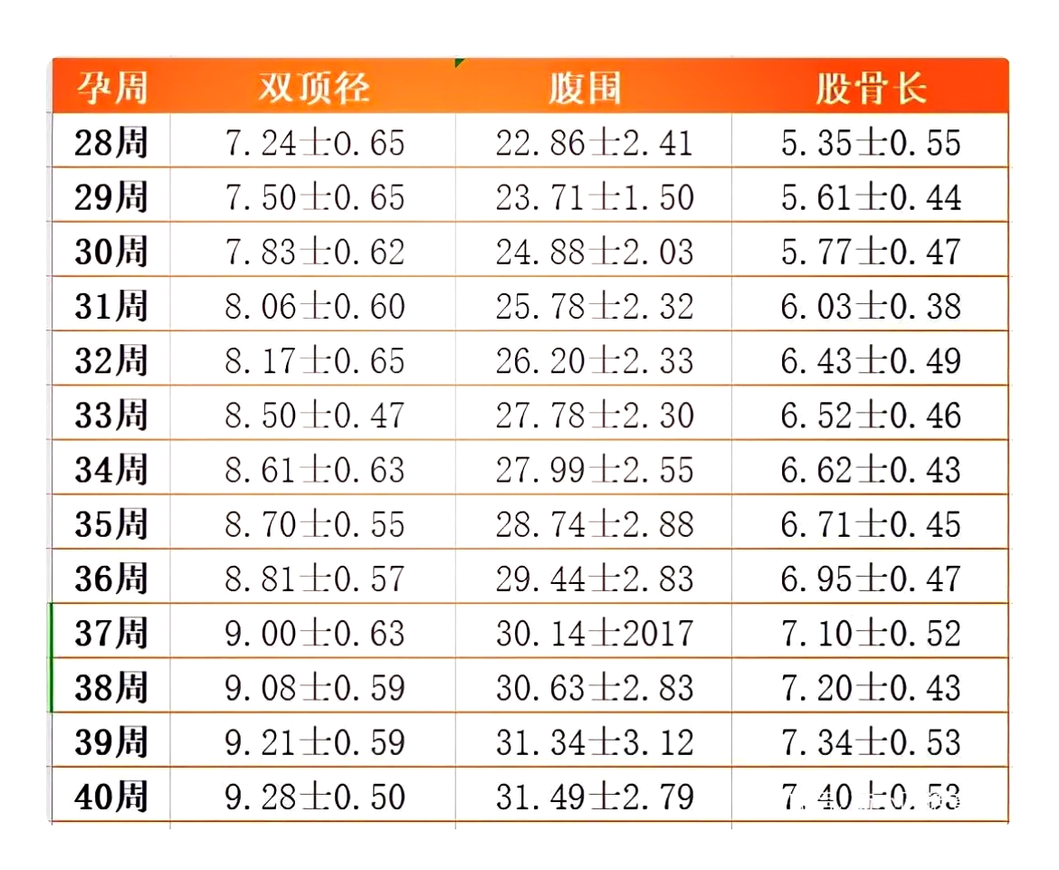 男孩双顶径股骨对照表图片