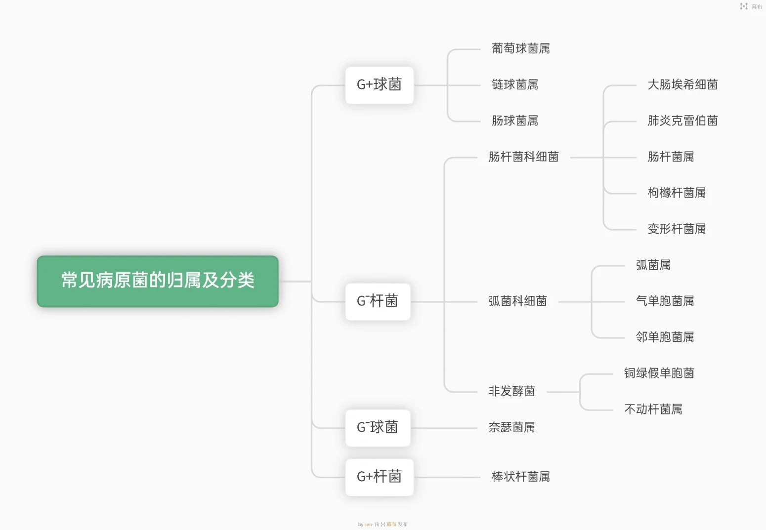 人体内正常菌群分布图图片