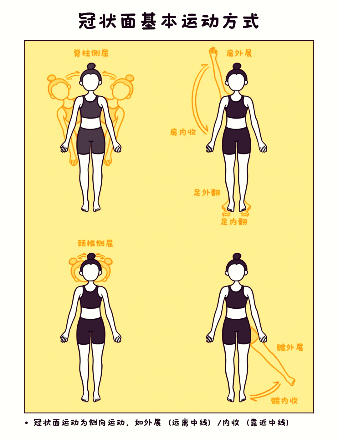 人体的轴和面图解图片