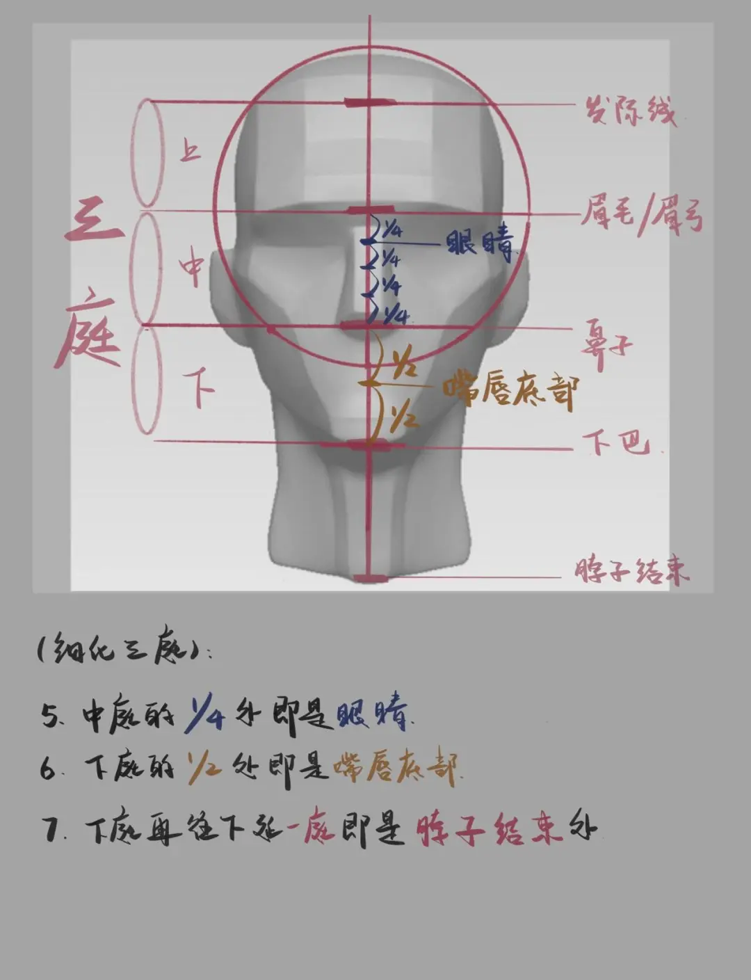 三庭五眼绘画教程图片