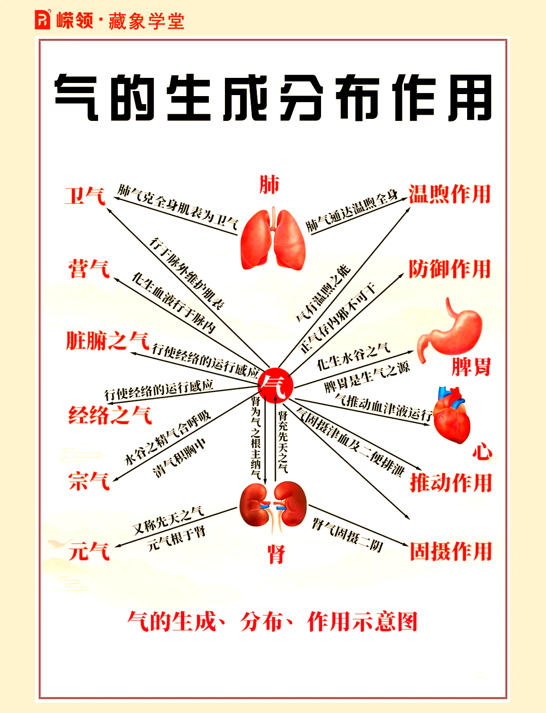 中医基础理论:气的生成与作用