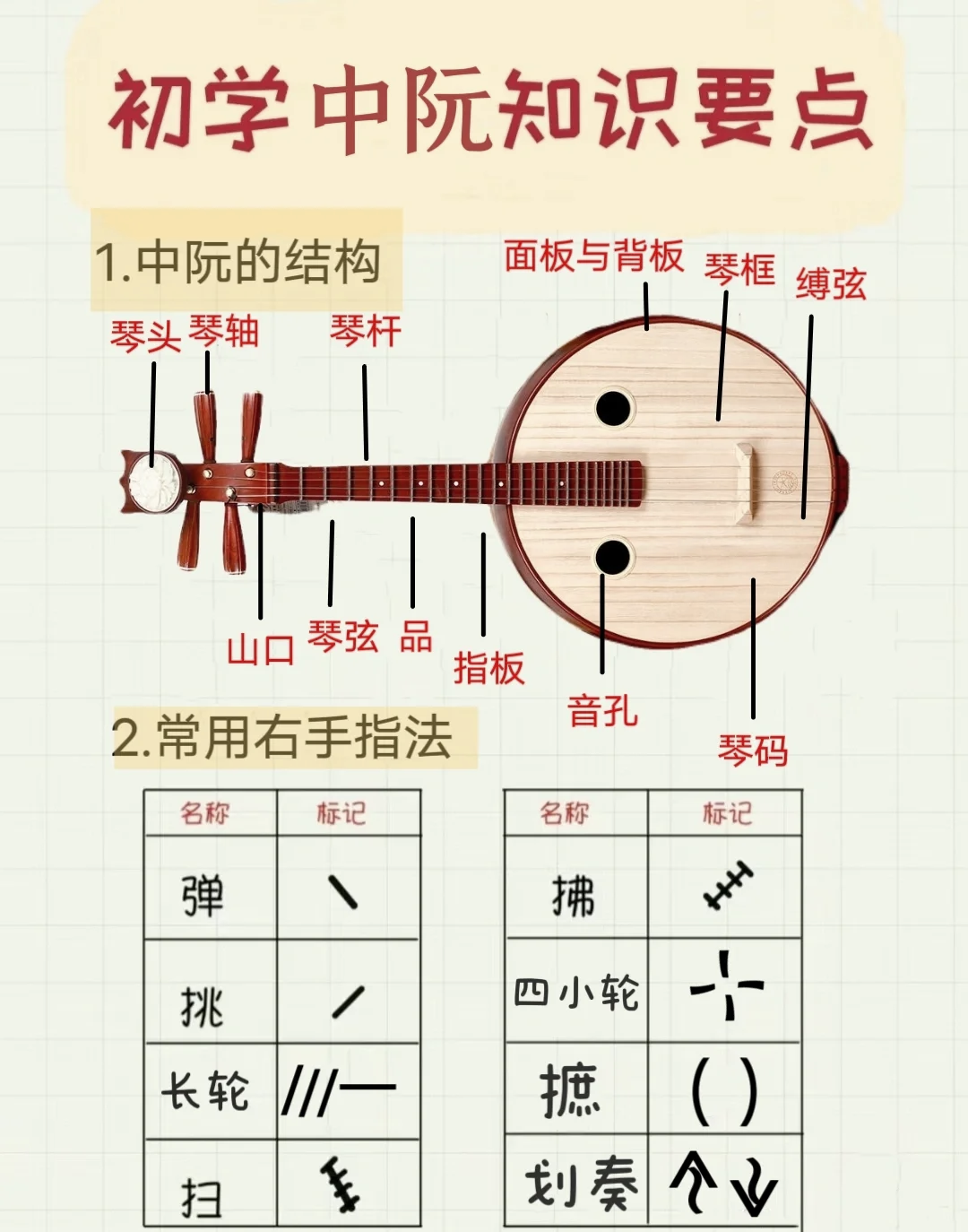 中阮乐器介绍图片