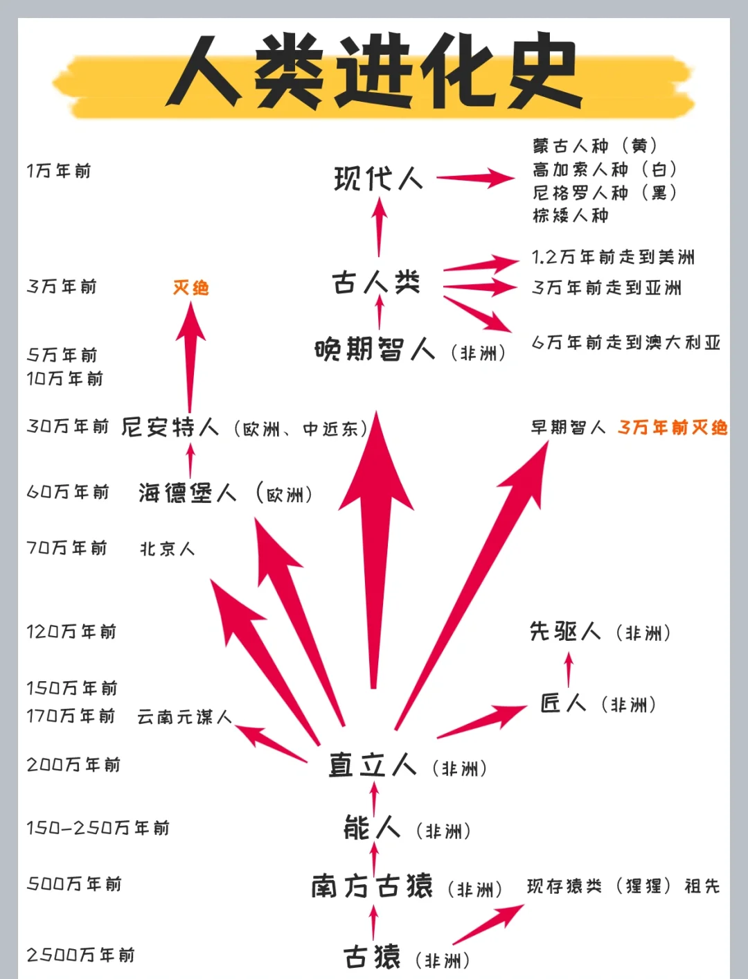 排名历史 演变与个 人成就全相关图片1