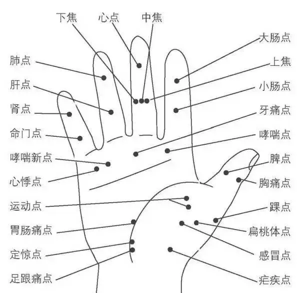 人体感觉平面定位图图片