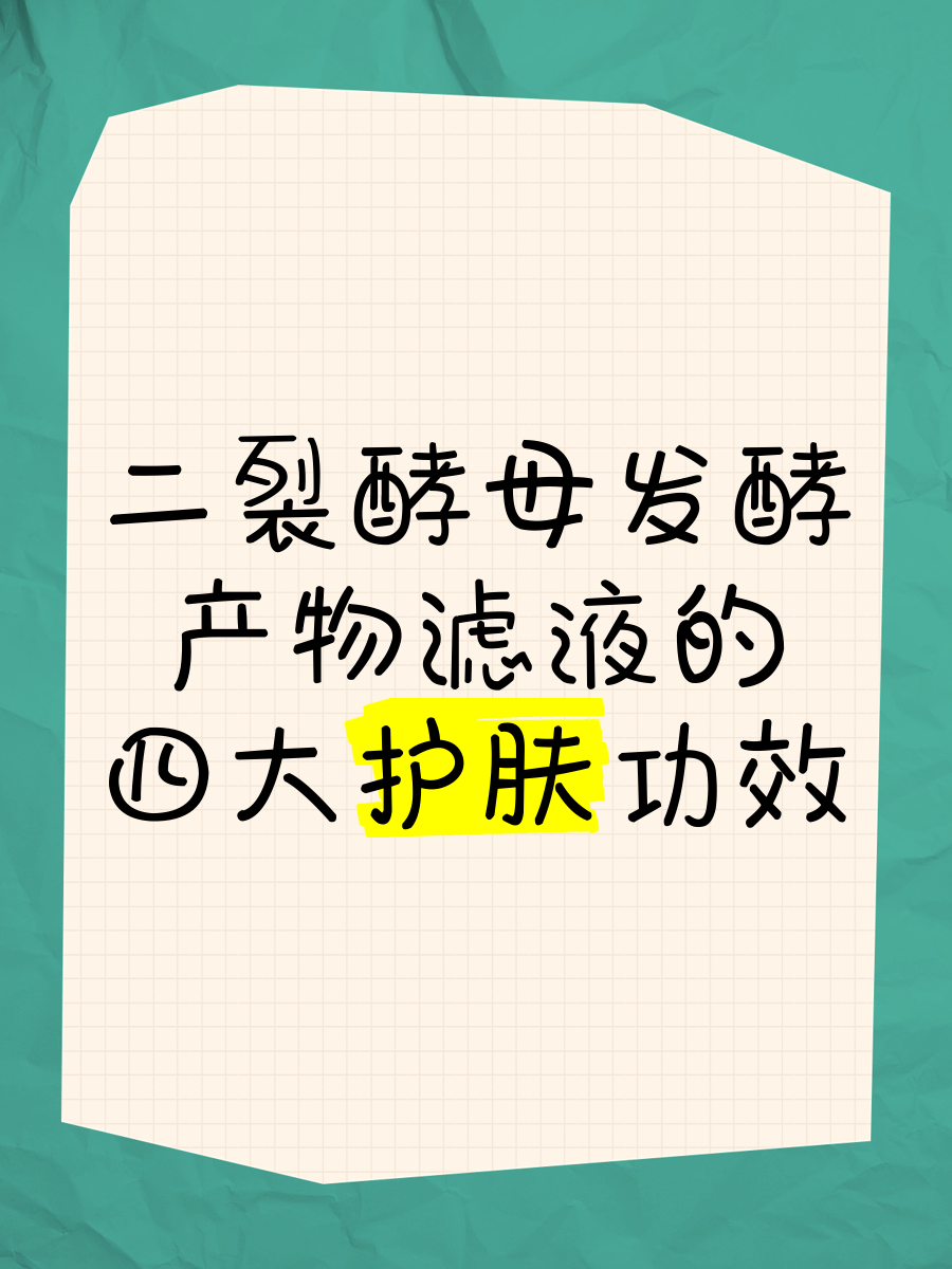 二裂酵母发酵产物滤液的四大护肤功效