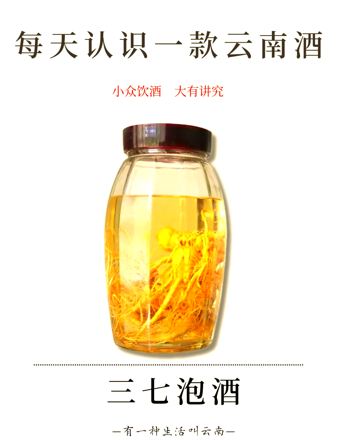 腾药参茸三七酒图片