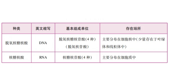 核糖五碳糖图片